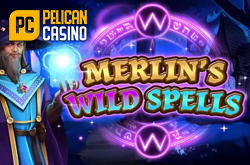 Merlins Wild Spells